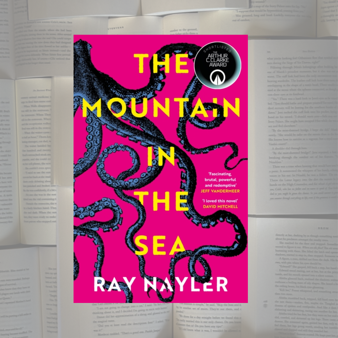 The Mountain in the Sea - Paperback