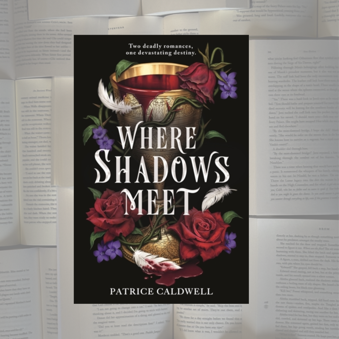 Where Shadows Meet  - Paperback